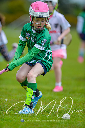 CD v Newbridge (108 of 111)