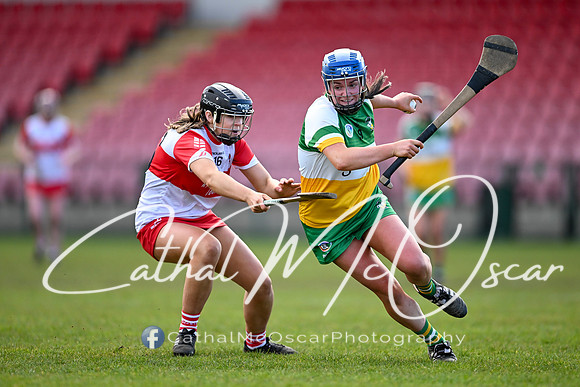Derry v Offaly (84 of 142)