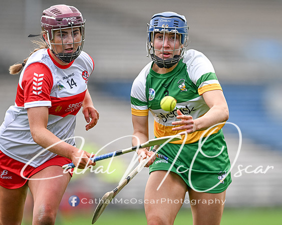 Derry v Offaly (136 of 148)