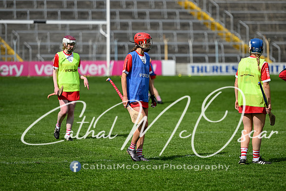 Derry v Offaly (32 of 148)