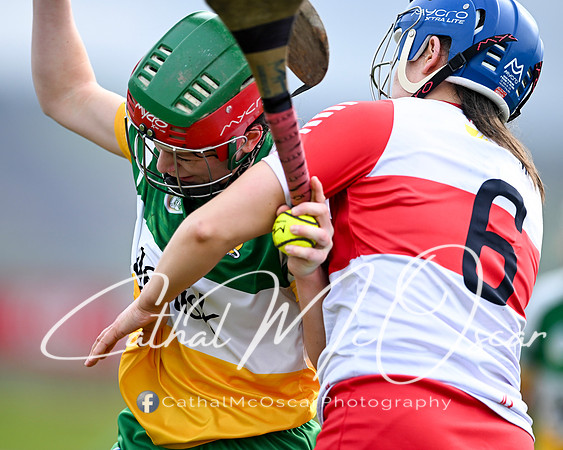 Derry v Offaly (25 of 142)