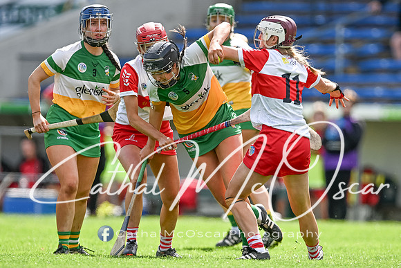 Derry v Offaly (54 of 148)