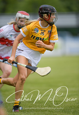 Derry v Antrim (95 of 107)