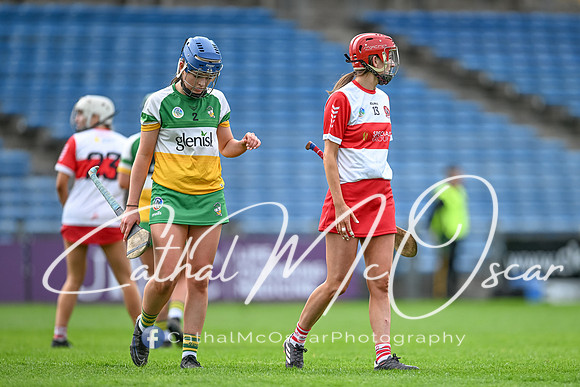 Derry v Offaly (103 of 148)
