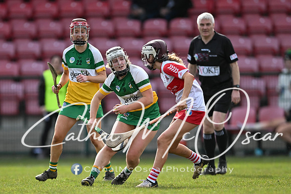 Derry v Offaly (50 of 142)