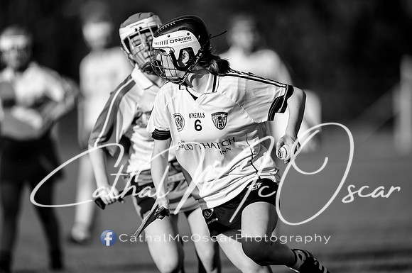 Castledawson v Loup (60 of 79)
