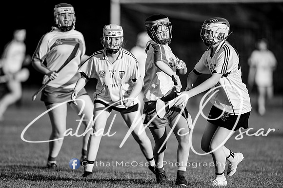 Castledawson v Loup (65 of 79)