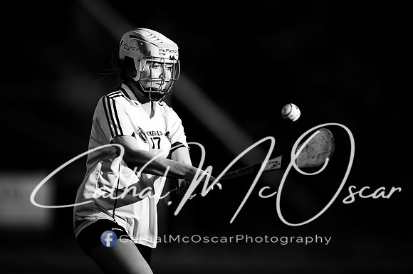 Castledawson v Loup (68 of 79)