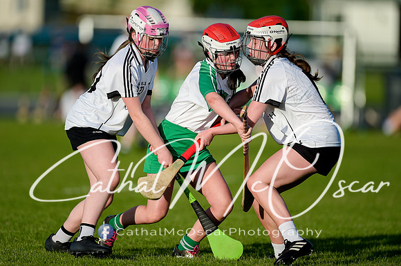 Castledawson v Loup (64 of 79)