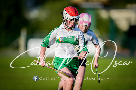Castledawson v Loup (73 of 79)