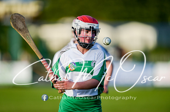 Castledawson v Loup (74 of 79)