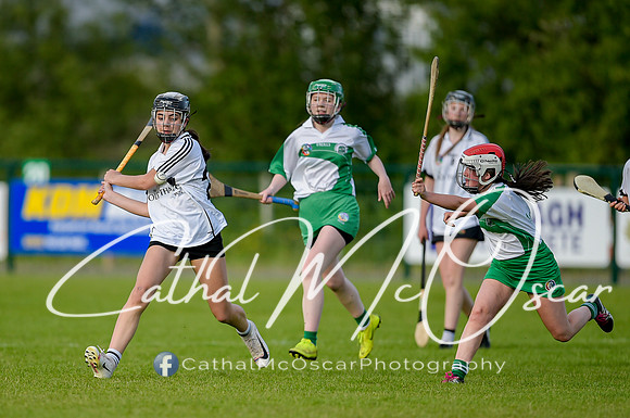 Castledawson v Loup (7 of 79)