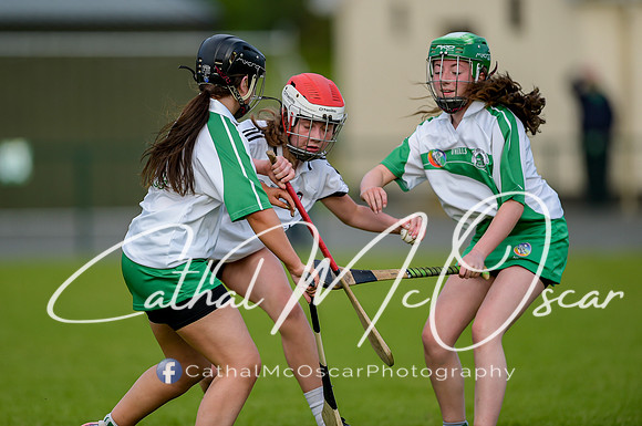 Castledawson v Loup (6 of 79)