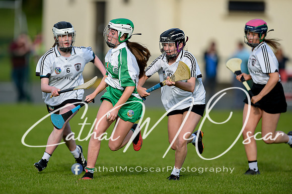Castledawson v Loup (9 of 79)