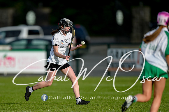 Castledawson v Loup (12 of 79)
