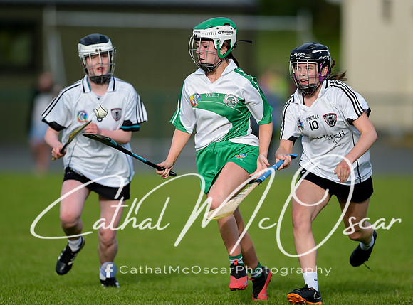 Castledawson v Loup (10 of 79)