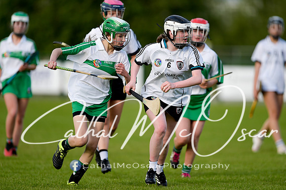 Castledawson v Loup (13 of 79)