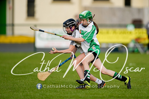 Castledawson v Loup (26 of 79)