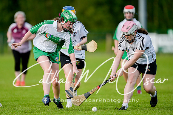 Castledawson v Loup (28 of 79)