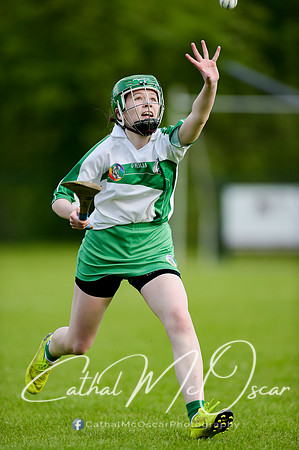 Castledawson v Loup (32 of 79)