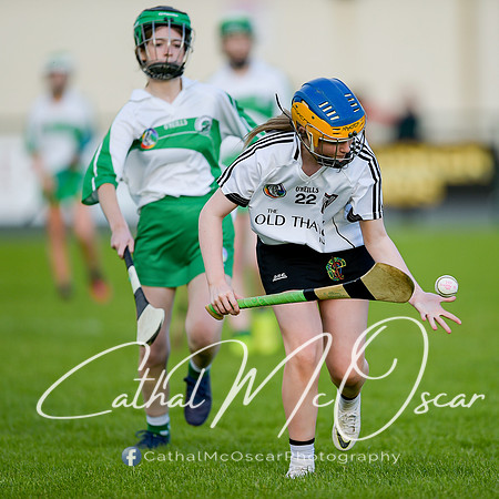 Castledawson v Loup (34 of 79)