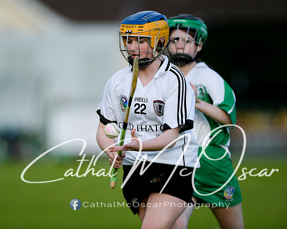 Castledawson v Loup (37 of 79)