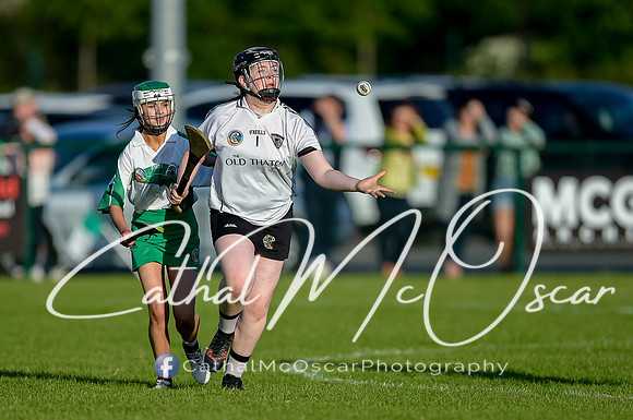 Castledawson v Loup (51 of 79)