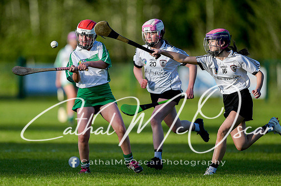 Castledawson v Loup (55 of 79)