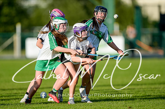 Castledawson v Loup (59 of 79)
