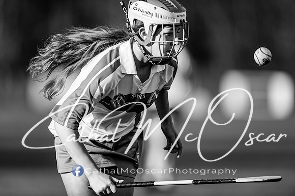 Castledawson v Loup (61 of 79)