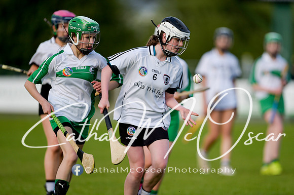 Castledawson v Loup (14 of 79)