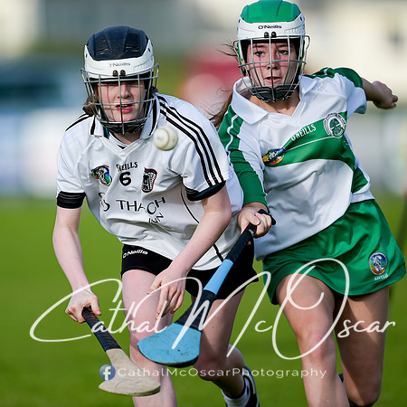 Castledawson v Loup (17 of 79)