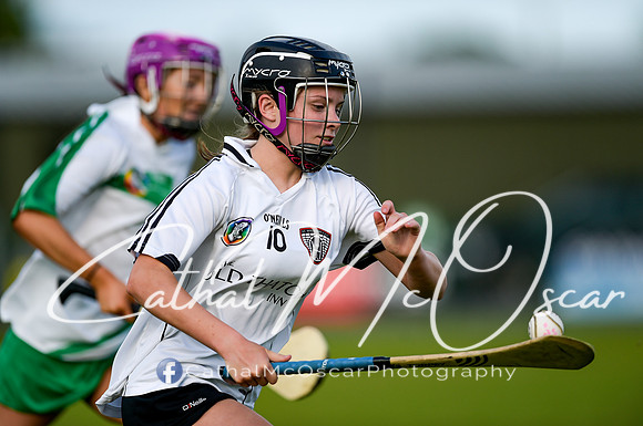 Castledawson v Loup (15 of 79)
