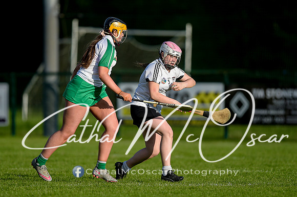 Castledawson v Loup (49 of 79)