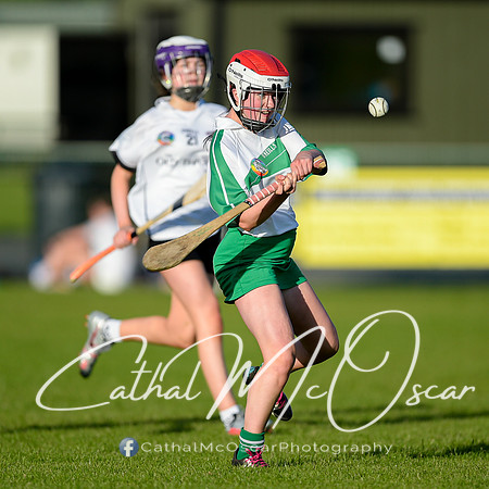 Castledawson v Loup (48 of 79)