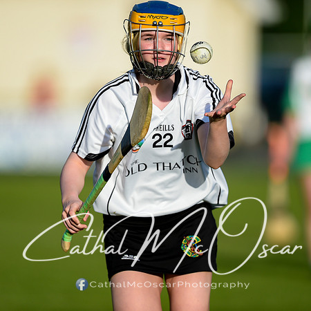 Castledawson v Loup (45 of 79)