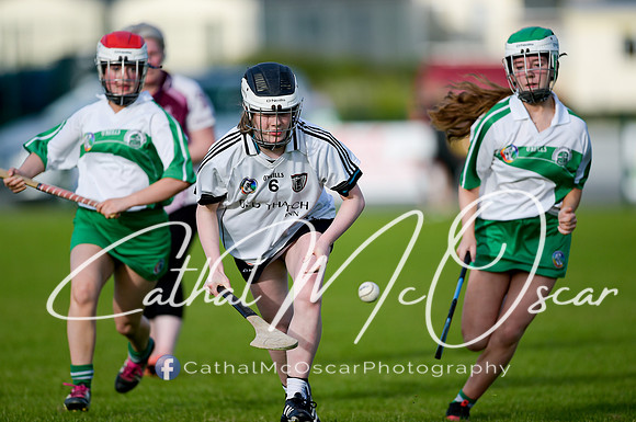 Castledawson v Loup (16 of 79)