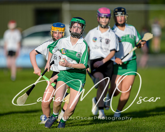 Castledawson v Loup (44 of 79)