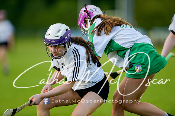 Castledawson v Loup (38 of 79)