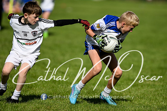 Loup U11 Tournament (151 of 164)