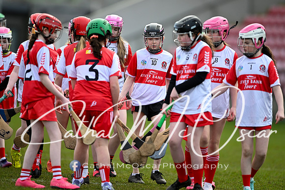 Derry v Offaly (74 of 142)