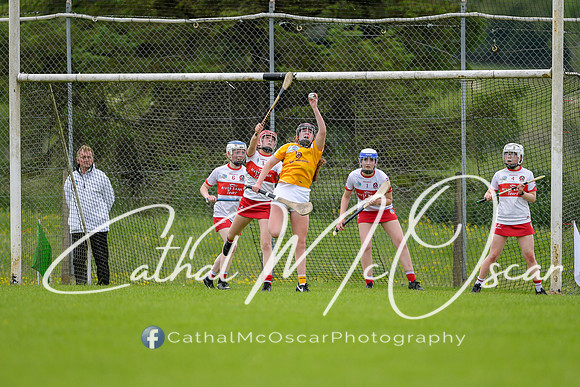 Derry v Antrim (65 of 63)