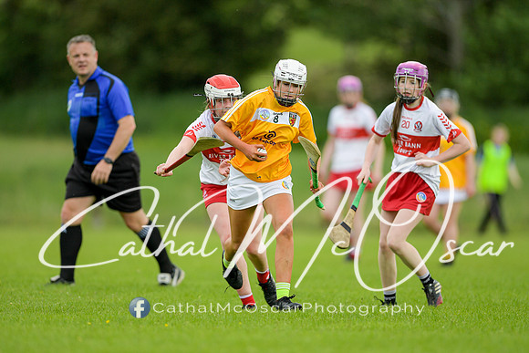 Derry v Antrim (102 of 63)
