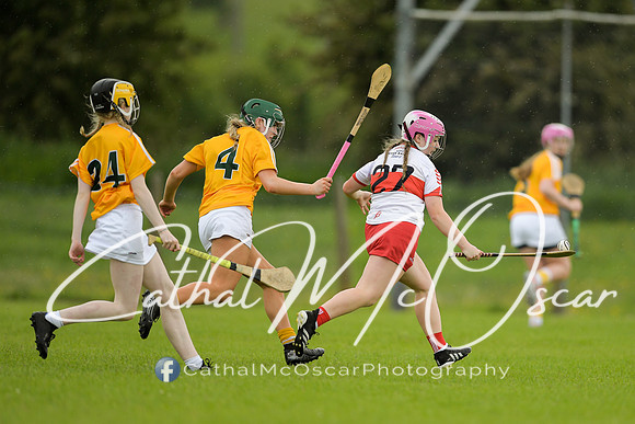 Derry v Antrim (113 of 11)