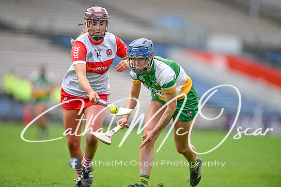Derry v Offaly (134 of 148)