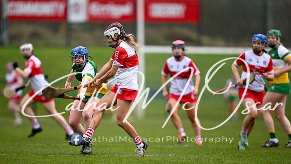 Derry v Offaly (7 of 142)