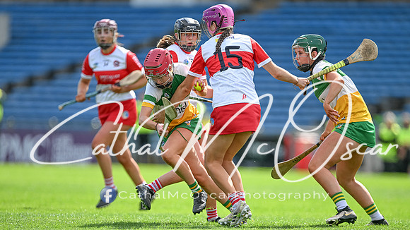 Derry v Offaly (55 of 148)