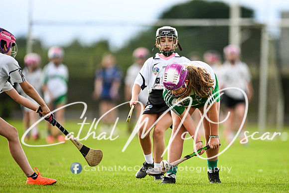 Castledawson v Loup (46 of 101)