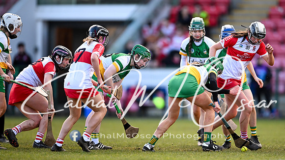 Derry v Offaly (127 of 142)