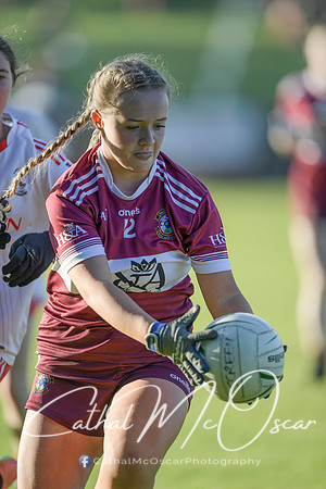 ballinascreen v magherafelt (54 of 127)